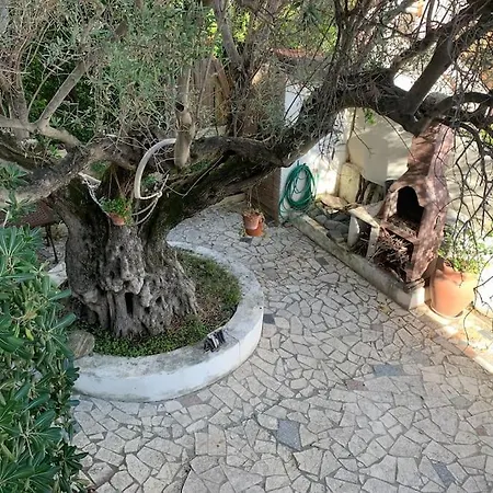 Casa Mare Con Giardino *