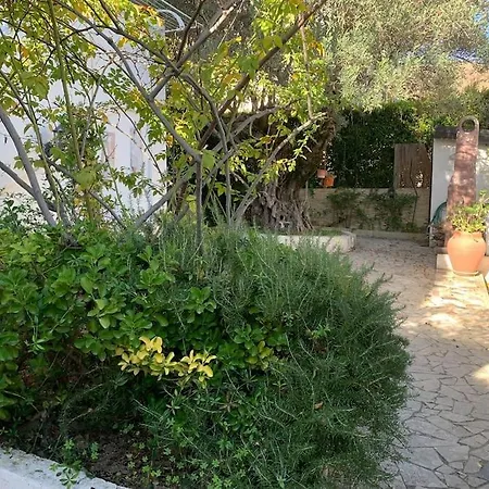 Casa Mare Con Giardino 펜션 Montepaone Lido